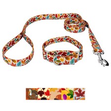 Country Brook Petz  Martingale Collar and Leash - Awesome Autumn Collection
