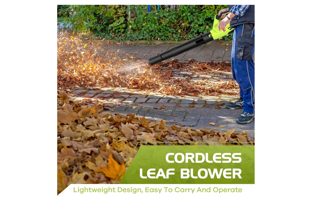 Cordless Electric Leaf Blower with 2 Batteries, 2-Speed, Lightweight Tool