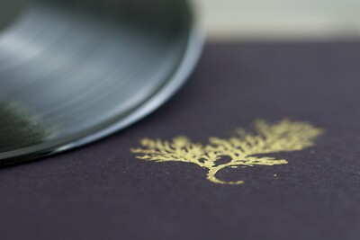 Steven Doman - St-Octave 10'' vinyl oscarson piano ambient Canada