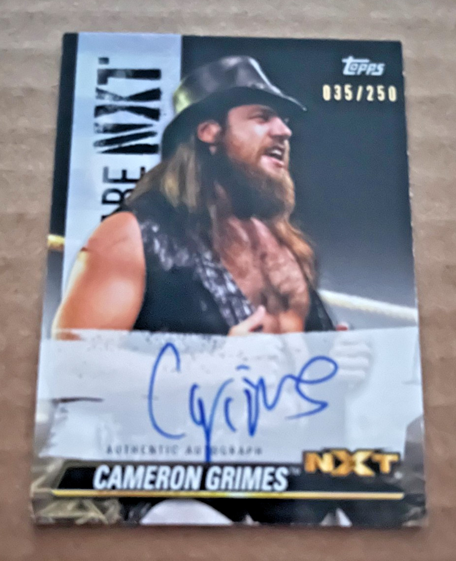 CAMERON GRIMES 2021 TOPPS WWE WE ARE NXT ON-CARD AUTO AUTOGRAPH #A-CG CARD #/250 view 1