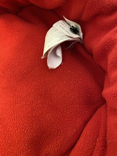 Bugaboo Bee Cocoon with Head Support - Red - Picture 14 of 19