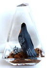 Vintage Hand Carved Painted Wood Robin Lucite/Acrylic Unique Canada Paperweight — photo 2
