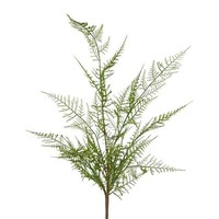 Artplants KüNstlicher Zweig Schildfarn Frenor, GrüN, 60Cm
