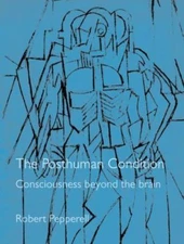 The Posthuman Condition: Consciousness Beyond the Brain by Pepperell, Julian