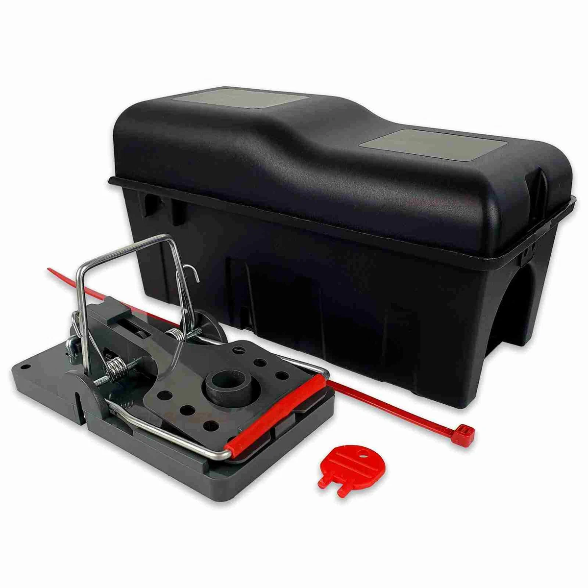 Rat sale trap box