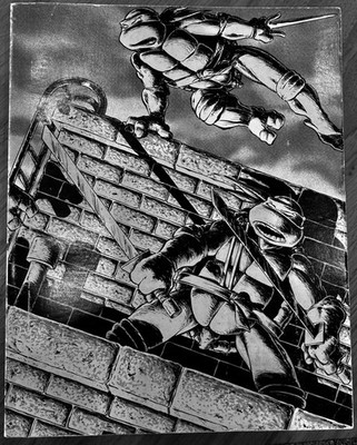 Teenage Mutant Ninja Turtles 1988 Mirage Volume 1 Paperback Wraparound TPB