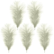 Large Ostrich Feathers Christmas Party Ornament Costume Craft Long Plume 35-60cm