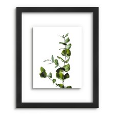 Pressed Flower Frames - Black, 16x20 - Real Glass Front - Display 11x14 Pictu...