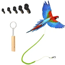 Parrot Bird Harness Leash Anti-Bite Outdoor Blue Flying Training Rope with 5Pcs