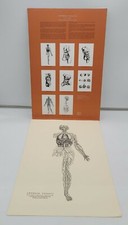 Vintage 1965 Dr's Office Andreae Vesalii Medical Poster Roche Labs The Heart