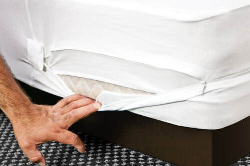 Box Spring Zippered Encasement Bed Bug Proof Matress Protector Bedding Polyester - Picture 43 of 80