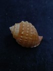 Bild 2 von 5