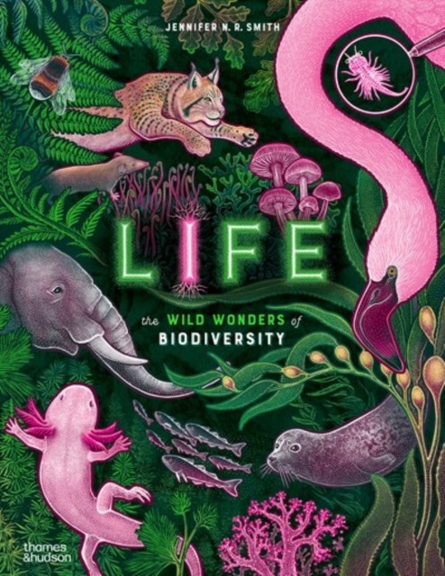 Life The wild wonders of biodiversity by Jennifer N. R. Smith (Hardback Book)