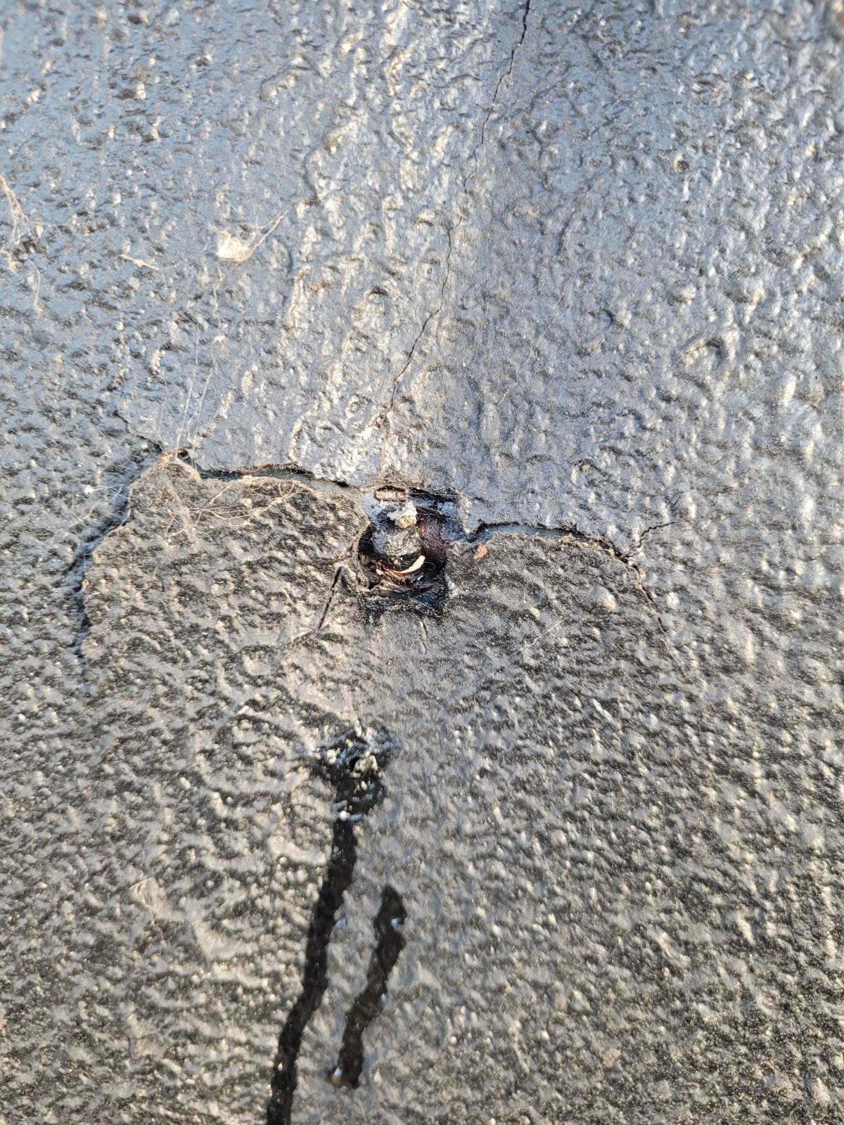 1949/1950/1951 Mercury Hood And Trunk Lid