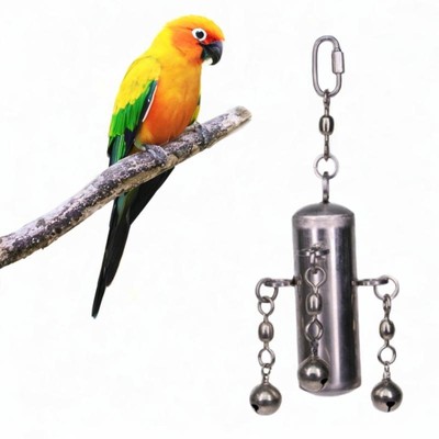 Pet Bird Toys Gift Swing Bite Toy for Conure Medium Large Bird