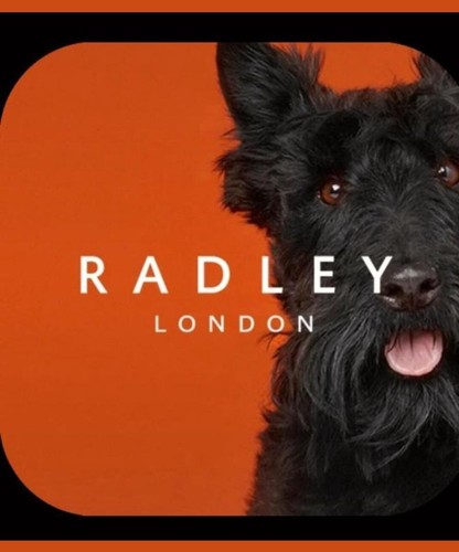 Radley london smartwatch series 05 in good condition with blue rubber wristband - Afbeelding 6 van 7