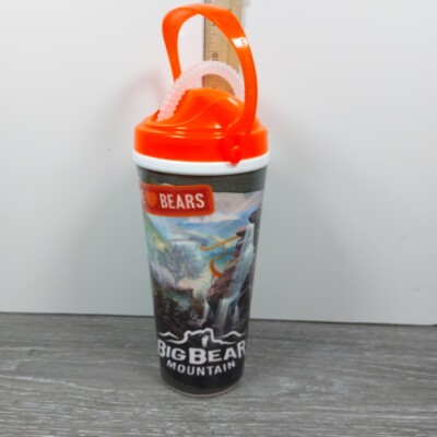 2023 Dollywood Souvenir Refillable 24 Oz Tumbler Cup Orange Big Bear Mountain