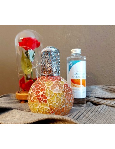 Lámpara Catalítica BICOLOR + Esencia 200ml