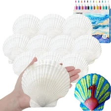 10 PCS Large Scallop Shells 4-5inch White Sea Shells Crafts for Christmas Dec...