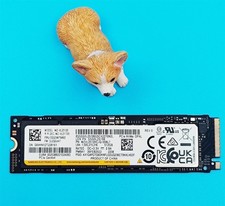 Samsung Lenovo 512GB NVMe M.2 2280 SSD SSS0L25196 PCIe Gen3x4