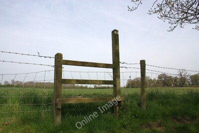 Foto 6x4 Stile zu Saubohnen Hardwick grün nach einem angenehmen Spaziergang quer durch c2010