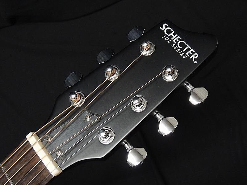 Line Body Acoustic Guitar Thin SNTL Electric Oriental F Hole