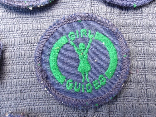 Lot of 13 Vintage 1960s Girl Guide Cloth Badges - Picture 14 of 23