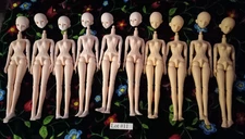 Lot of 10 1/3 Scale Female Doll Bodies and Heads 1 slightly damaged Lot #11