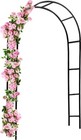Garden Rose Arch Arbour Decorative Climbing Plants Flowers Outdoor Events Party