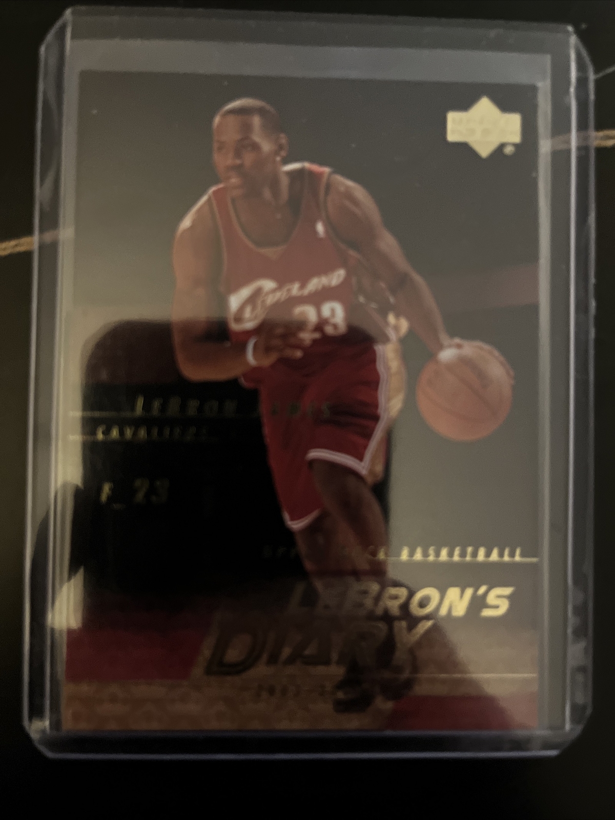 2003-04 Upper Deck Lebron James Lebron's Diary Rookie RC #LJ14 - Cleveland Cavs