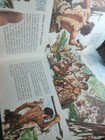 Foto 6 di 23