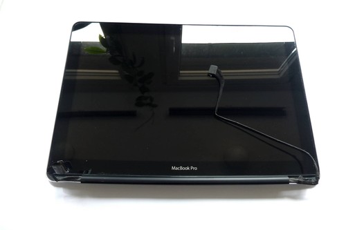  Original MacBook Pro 13" A1278 2009 2010 Display Komplett complete       6|aNn