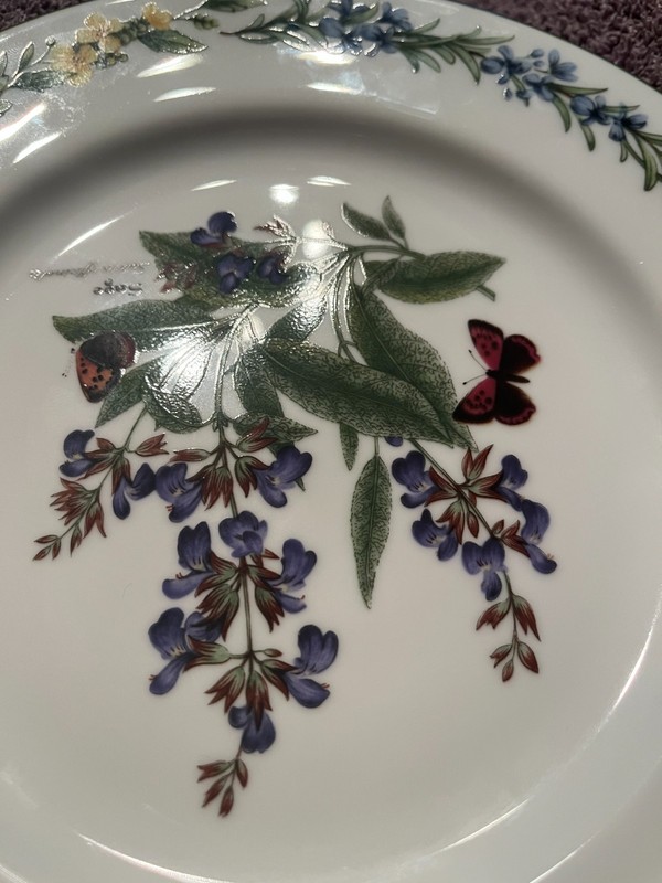 Royal Worcester Herbs 8 1/4 inch Salad Plate Sage Vintage