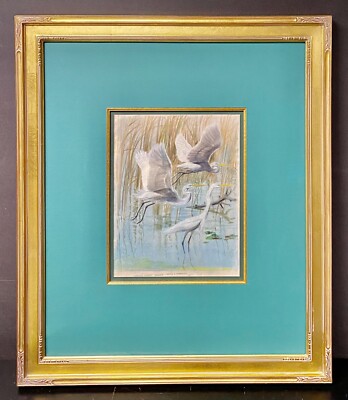 Arthur Singer Original Bird Art Painting Common Egrets, Pastel, Framed, c1960's