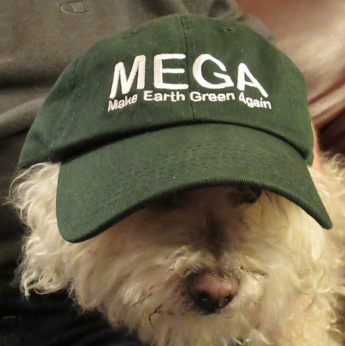 "MEGA Hat" (Make Earth Green Again) - Washed Twill Cap - Green - White Logo - Picture 2 of 9