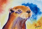 Watercolor Aceo Original Painting by Mary King - Otter