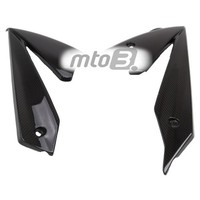 Carbon Bugspoiler FüR Suzuki GSX-S 1000 2015-2020