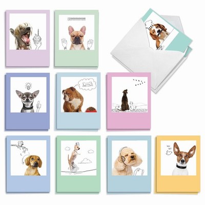 - 20 Boxed Dog Cards with Envelopes (4 x 5.12 Inch) - Blank Assortment (10 De...