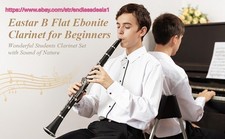 B Flat Clarinet for Beginner, Ebonite Clarinet Nickel-Plated with 2 Barrels, 3 R