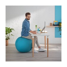 Leitz Ergo Cosy Active Sitting Ball Calm Blue (52790061)