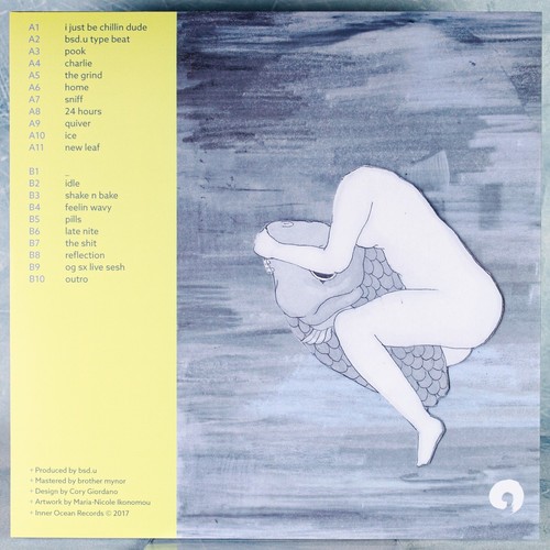 bsd.u Pook Vinyl Record LP New Transparent Green 12" 2023 Reissue Lofi Girl - Picture 4 of 11