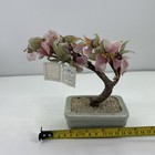Picture 12 of 12