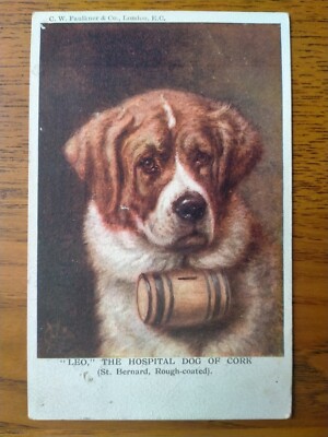 C. W. Faulkner Postkarte Serie 302B Löwe Der Krankenhaushund von Cork Bernhardiner