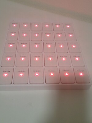 Kinexon Sensor Mat photo