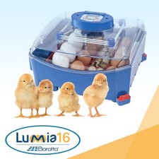 Usata INCUBATRICE PROFESSIONALE BREVETTATA LUMIA 16 BOROTTO – 16/64 uova 🐣🐤❤️