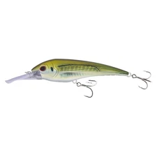 NOMAD DESIGN DTX Minnow 180 Heavy Duty Shallow Floating 7in Olive Back Shad Lure