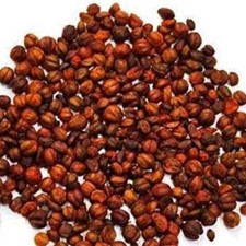 Malkangni Beej,Jyotishmati Seeds,Celastrus paniculatus-100gm