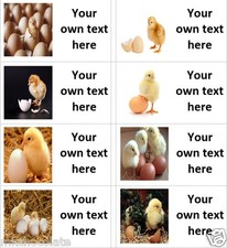 40 x PERSONALISED CHICKEN HEN EGG BOX LABELS SEALS STICKERS