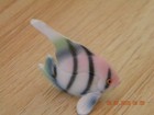 Bild 12 von 17