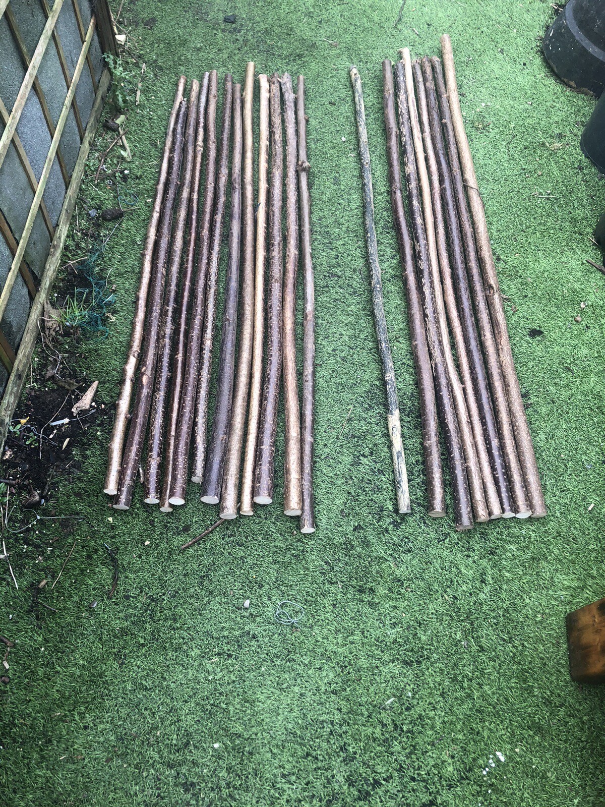 hazel walking stick shanks eBay